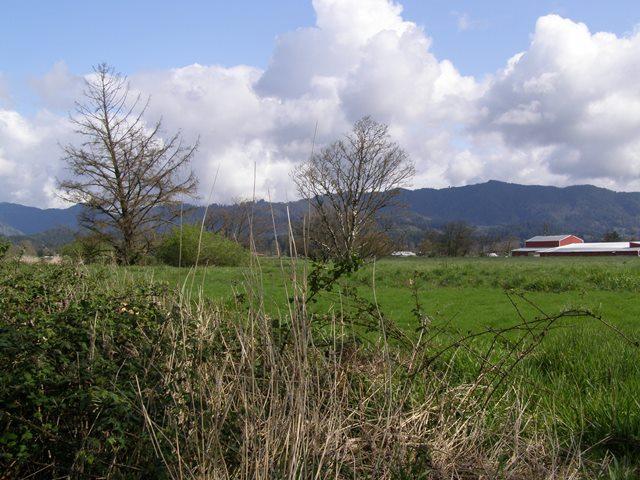 Vl Hadley Road North Tillamook, OR 97141 - Photo 9 of 18 Prop&View4.JPG