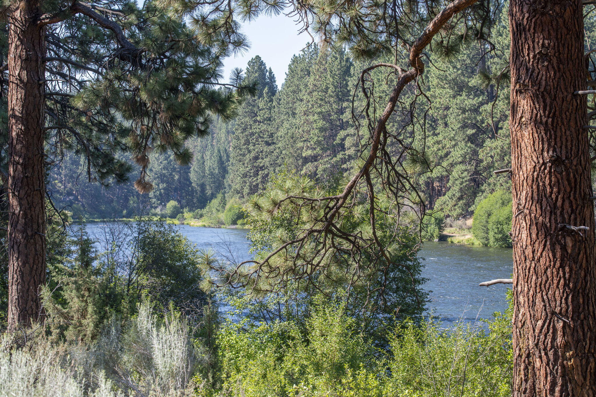 61647 Cedarwood Road Bend, OR 97702 - Photo 12 of 53 20-web-or-mls-DSC_9205