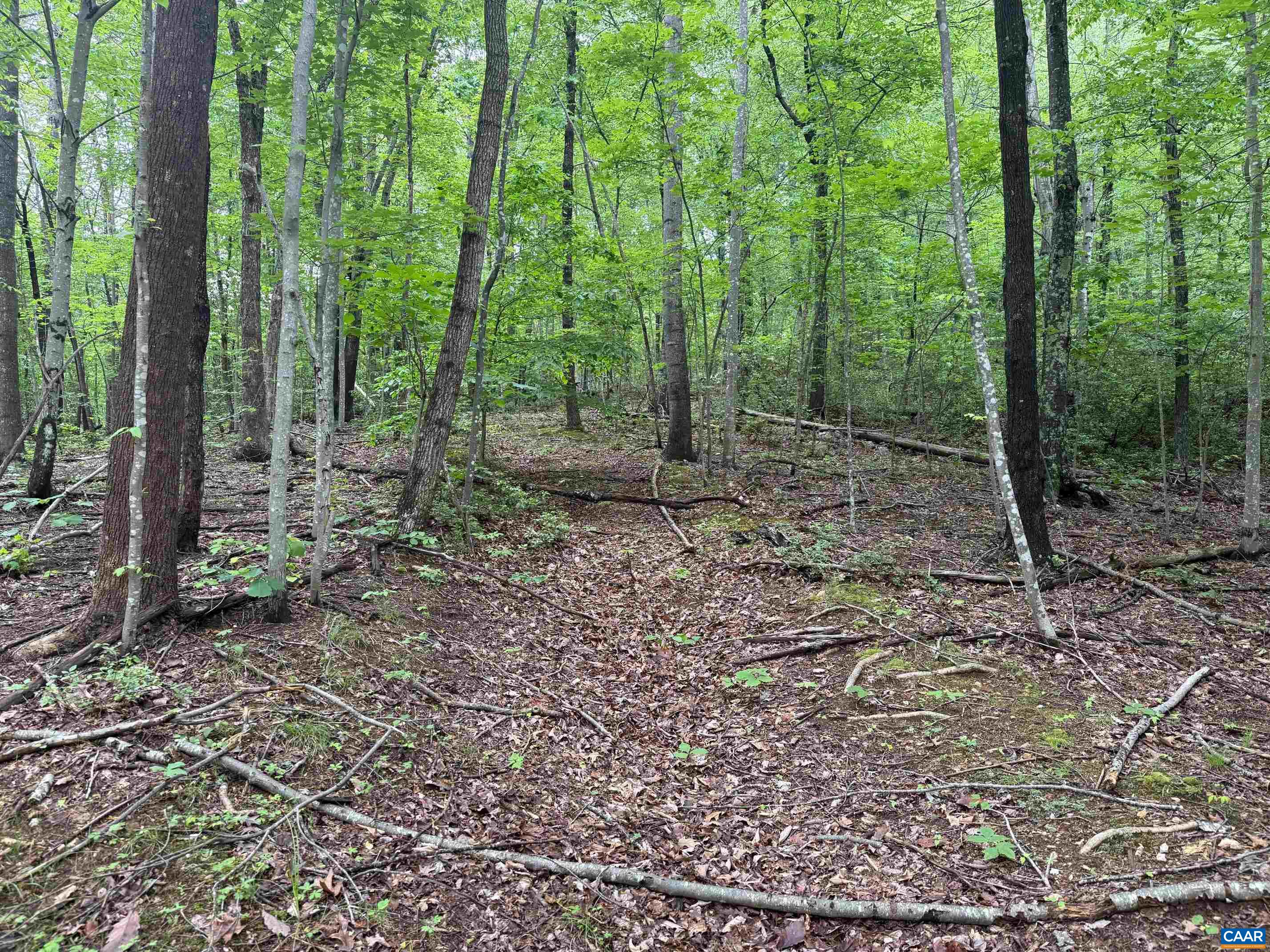 Tbd Rabbit Valley Road North Garden, VA 22959 - Photo 4 of 6