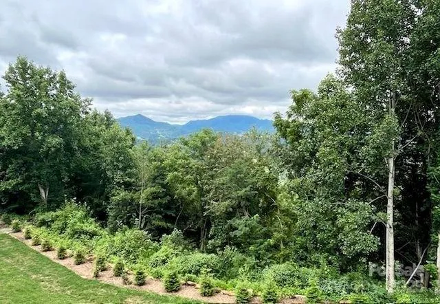 a view of a garden with plants and flowers