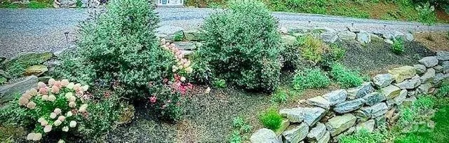 a view of a mountain range with a lush green forest