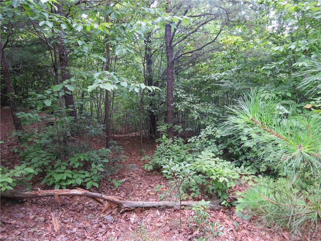 0 Lost Ridge Road Lenoir, NC 28645 - Photo 1 of 16 Gallery Image 1