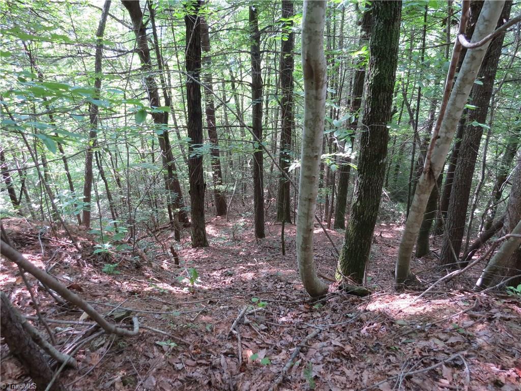 0 Lost Ridge Road Lenoir, NC 28645 - Photo 11 of 16 Gallery Image 11