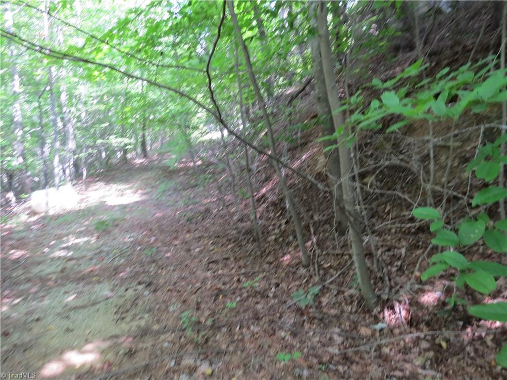 0 Lost Ridge Road Lenoir, NC 28645 - Photo 13 of 16 Gallery Image 13