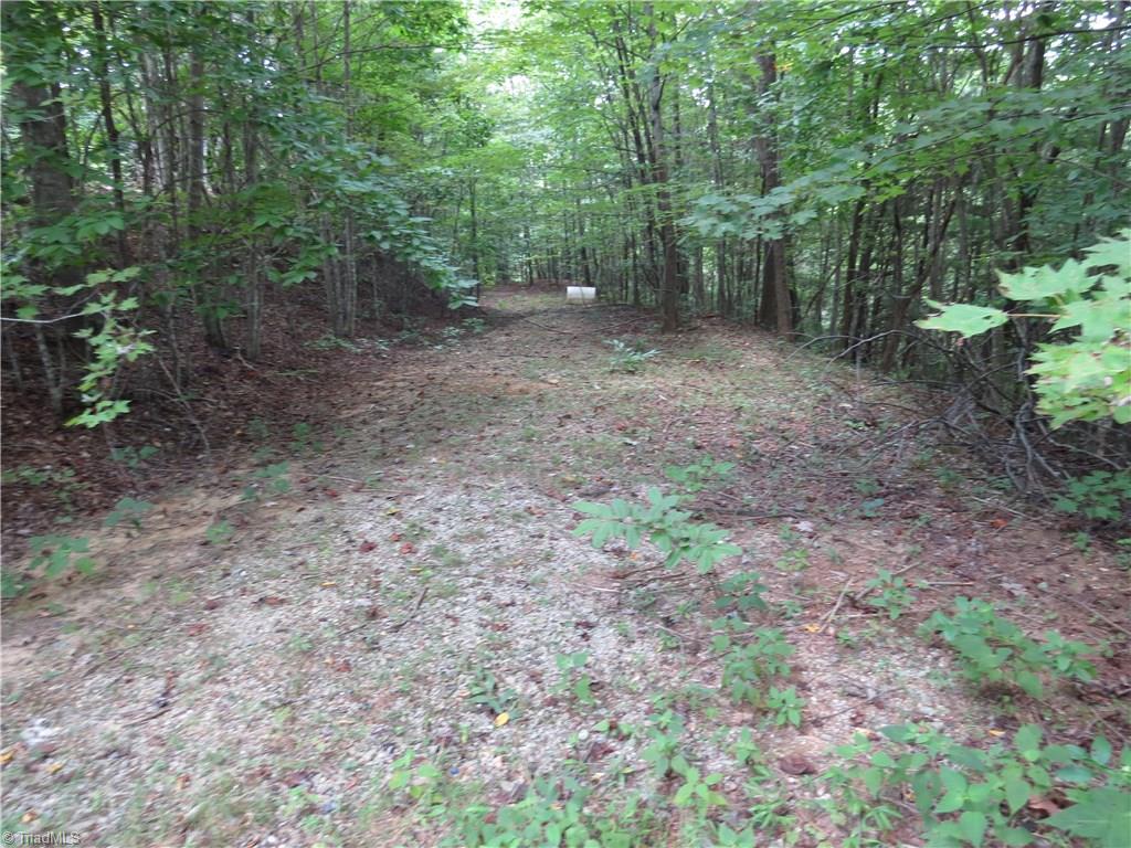 0 Lost Ridge Road Lenoir, NC 28645 - Photo 15 of 16 Gallery Image 15