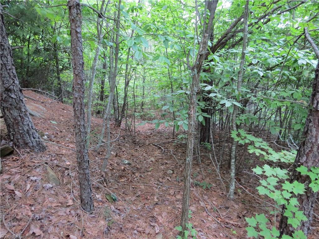 0 Lost Ridge Road Lenoir, NC 28645 - Photo 16 of 16 Gallery Image 16