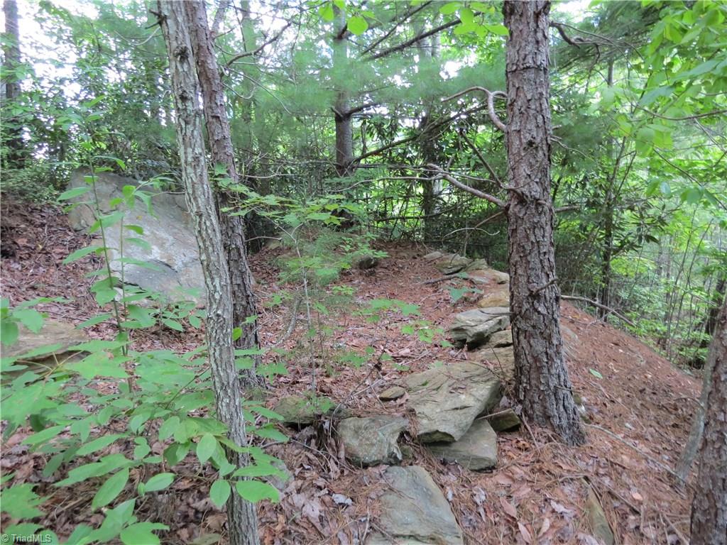 0 Lost Ridge Road Lenoir, NC 28645 - Photo 4 of 16 Gallery Image 4