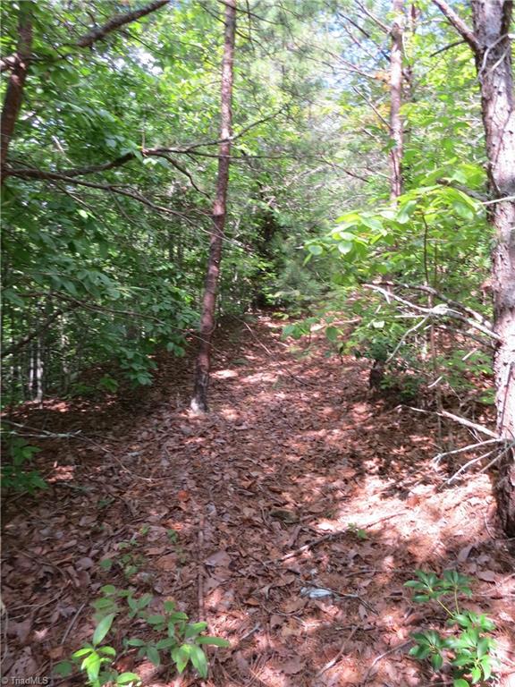 0 Lost Ridge Road Lenoir, NC 28645 - Photo 6 of 16 Gallery Image 6