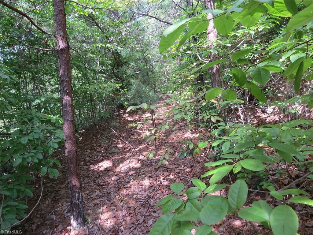 0 Lost Ridge Road Lenoir, NC 28645 - Photo 7 of 16 Gallery Image 7