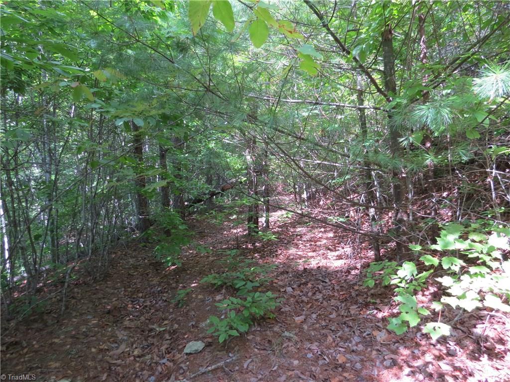 0 Lost Ridge Road Lenoir, NC 28645 - Photo 8 of 16 Gallery Image 8