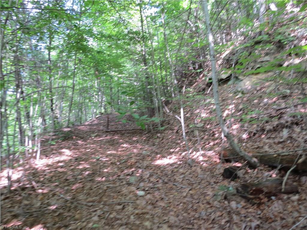 0 Lost Ridge Road Lenoir, NC 28645 - Photo 9 of 16 Gallery Image 9