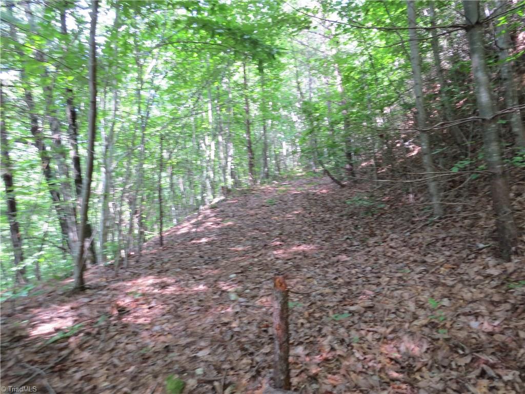 0 Lost Ridge Road Lenoir, NC 28645 - Photo 10 of 16 Gallery Image 10
