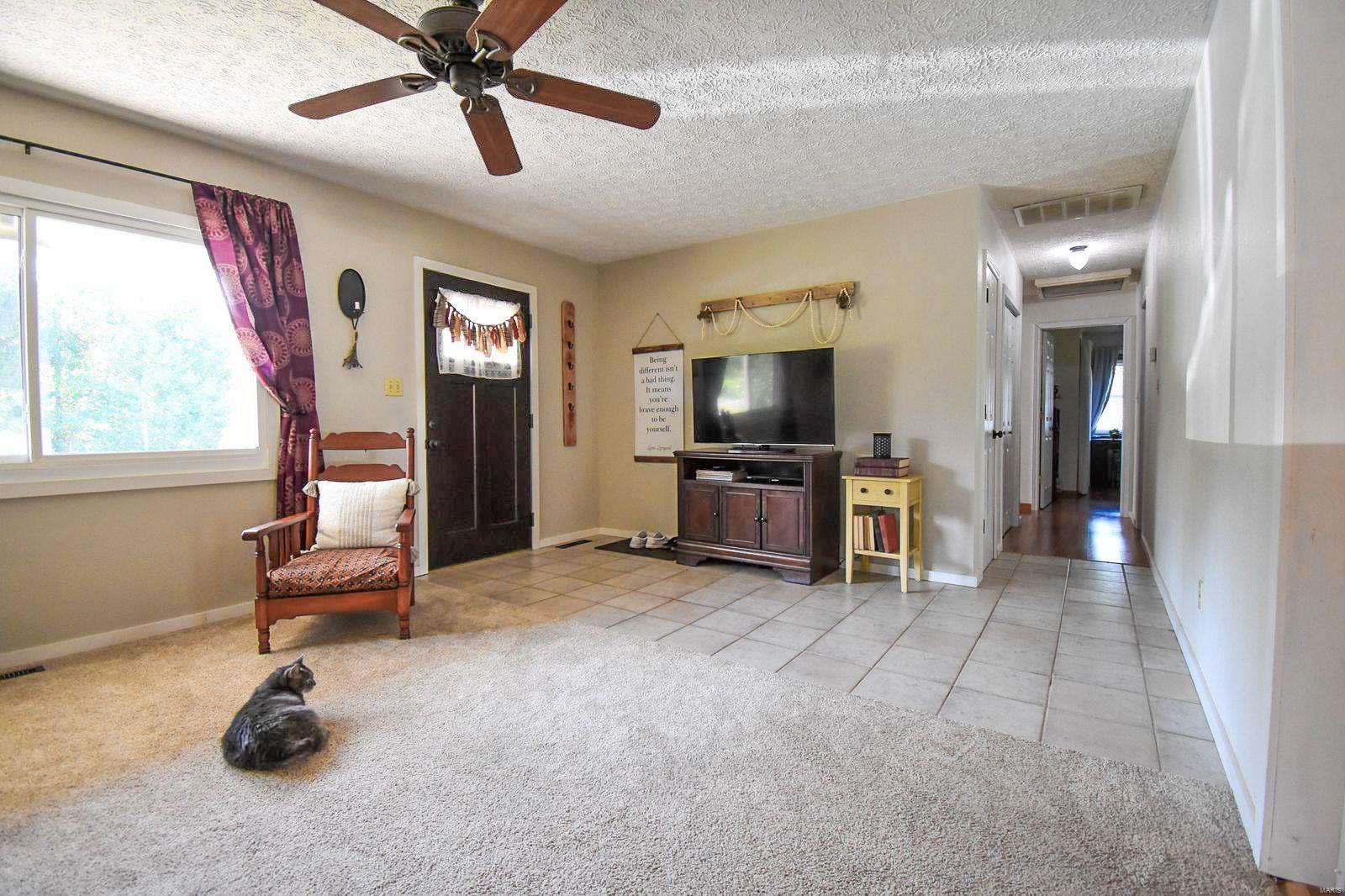 1114 Timber Ridge Trail Mount Olive, IL 62069 - Photo 3 of 48