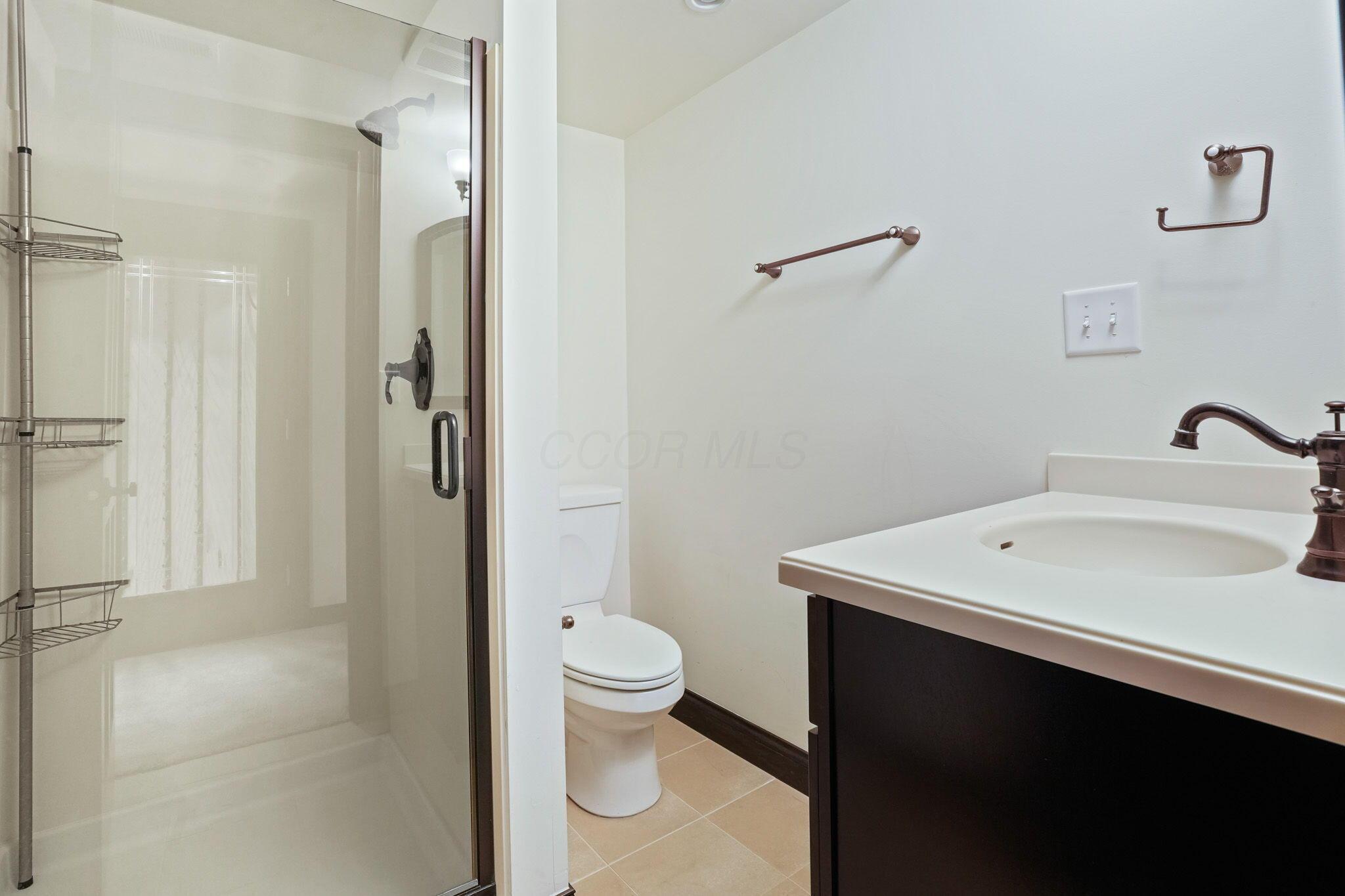 450 Shale Ridge Court Powell, OH 43065 - Photo 55 of 63 LL full bath