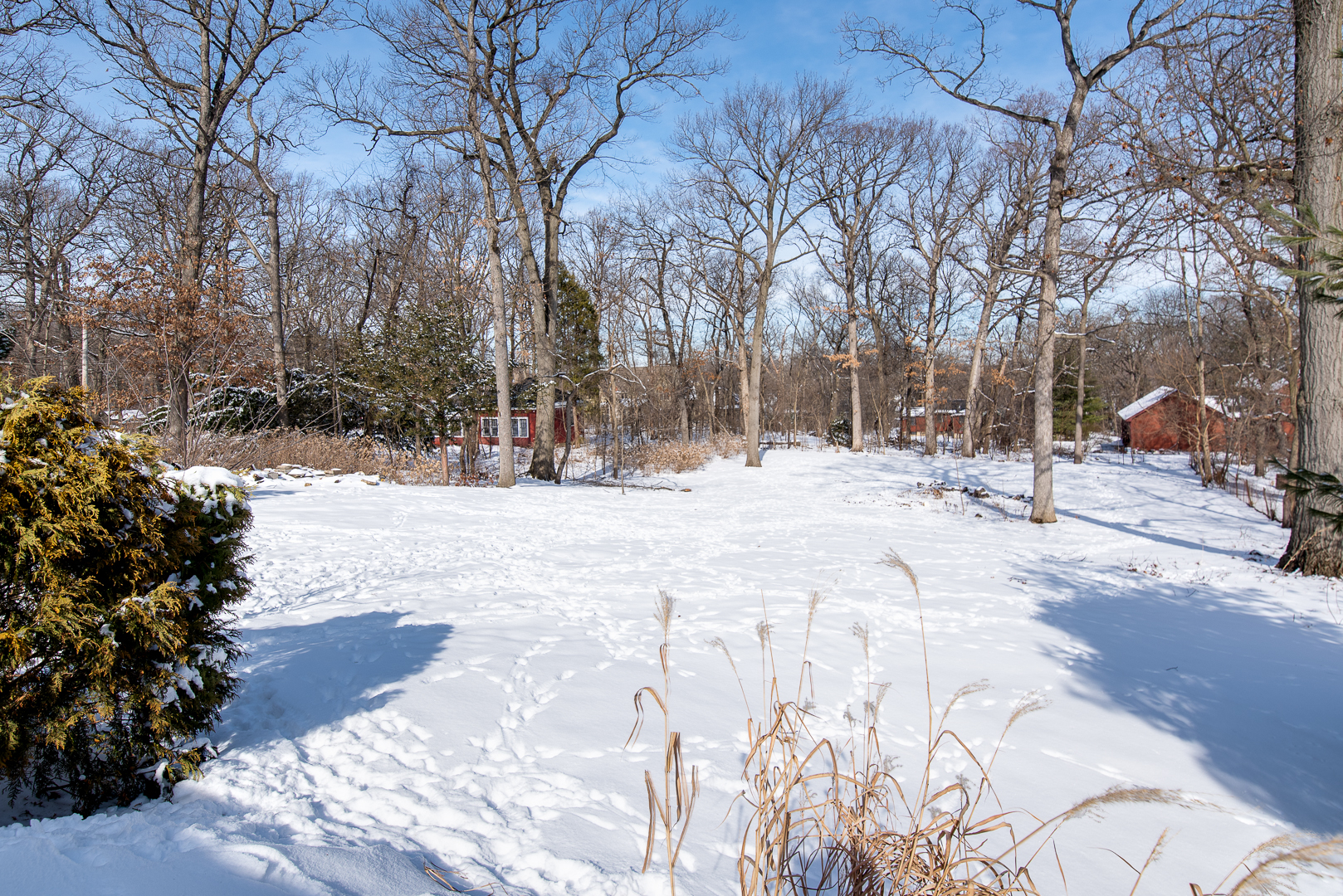27W420 Manchester Road Winfield, IL 60190 - Photo 24 of 24 a view of covered with snow