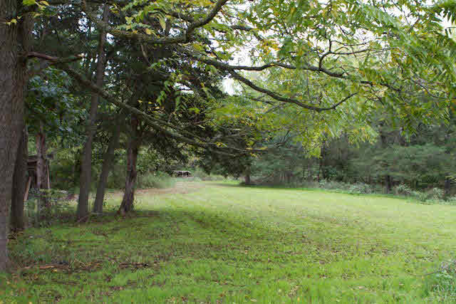 979 Arkton Road Broadway, VA 22815 - Photo 17 of 19 Gallery Image 17