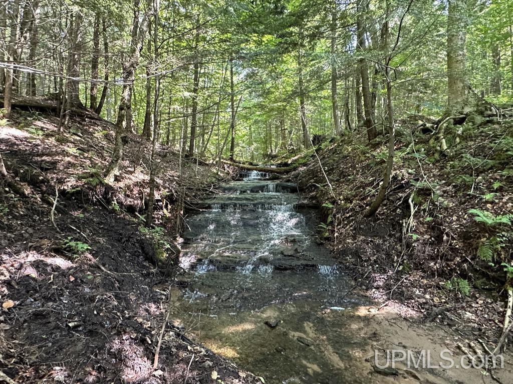 0 Cemetery Road Munising, MI 49862 - Photo 6 of 34 Gallery Image 6