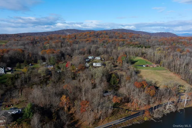 a view of a city with lush green forest
