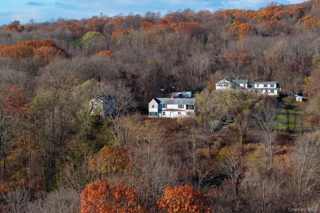 a view of a city with lush green forest