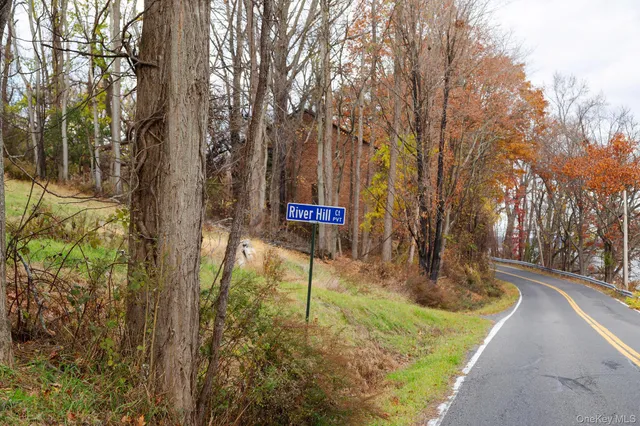 a sign board with tall trees