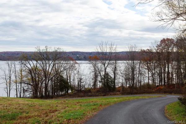 a view of a yard