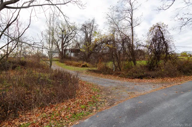 a view of dirt yard with a tree