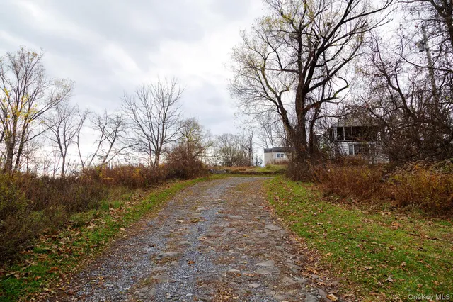 a view of yard with trees