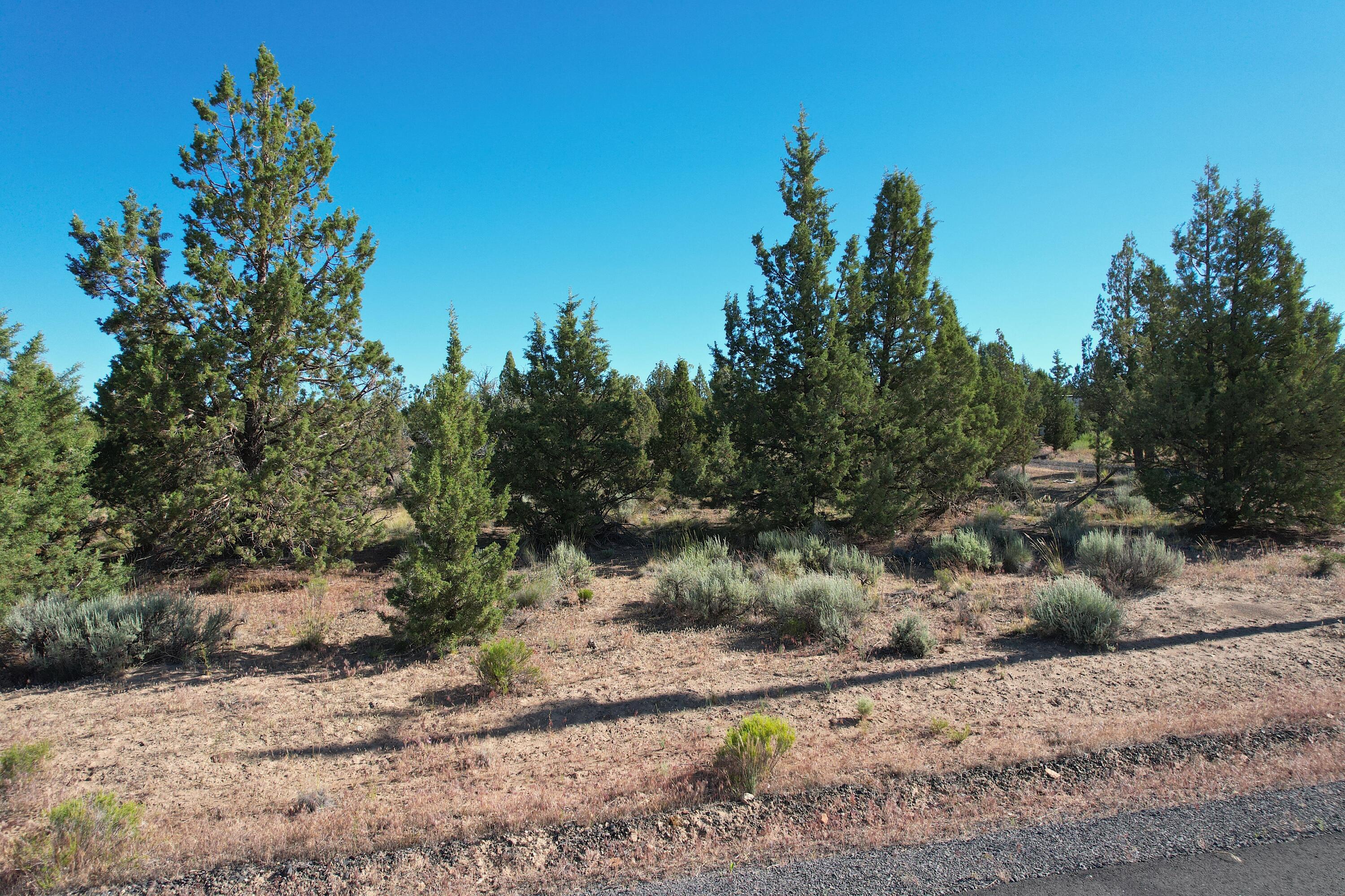 Southeast Teton Road Prineville, OR 97754 - Photo 4 of 5 dji_export_1656518959919