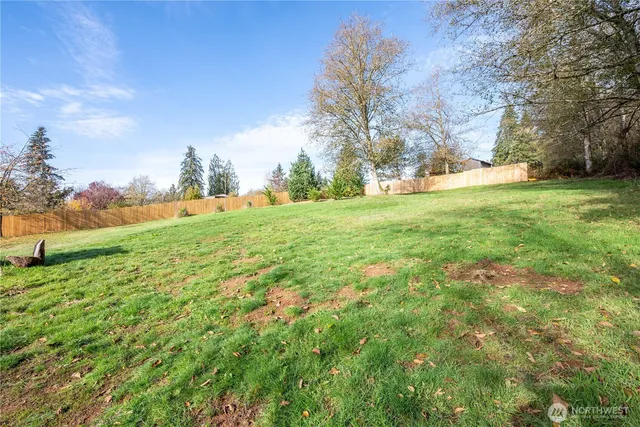 a view of a park with large trees