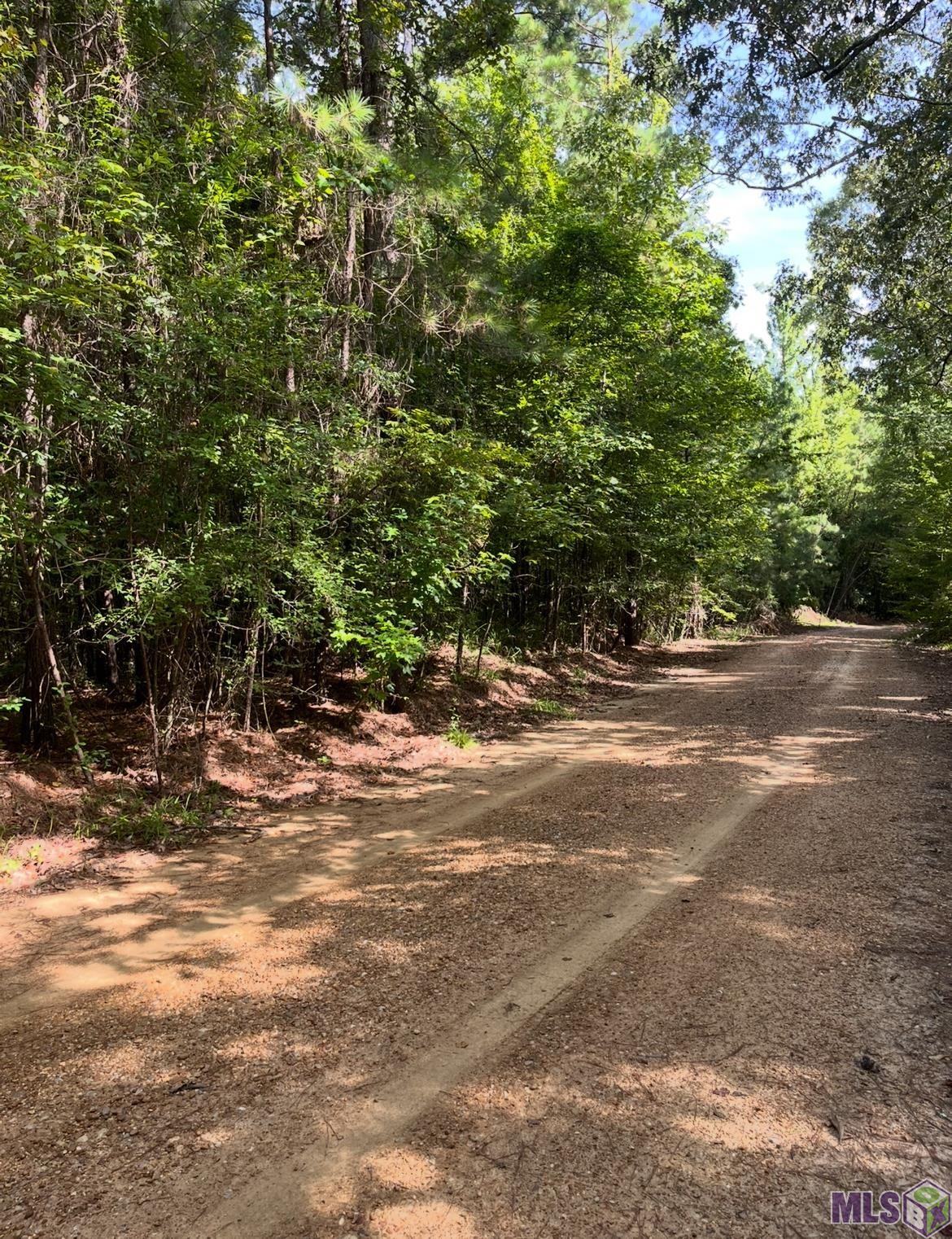 0 Paul Gallows Road Utica, MS 39175 - Photo 22 of 23