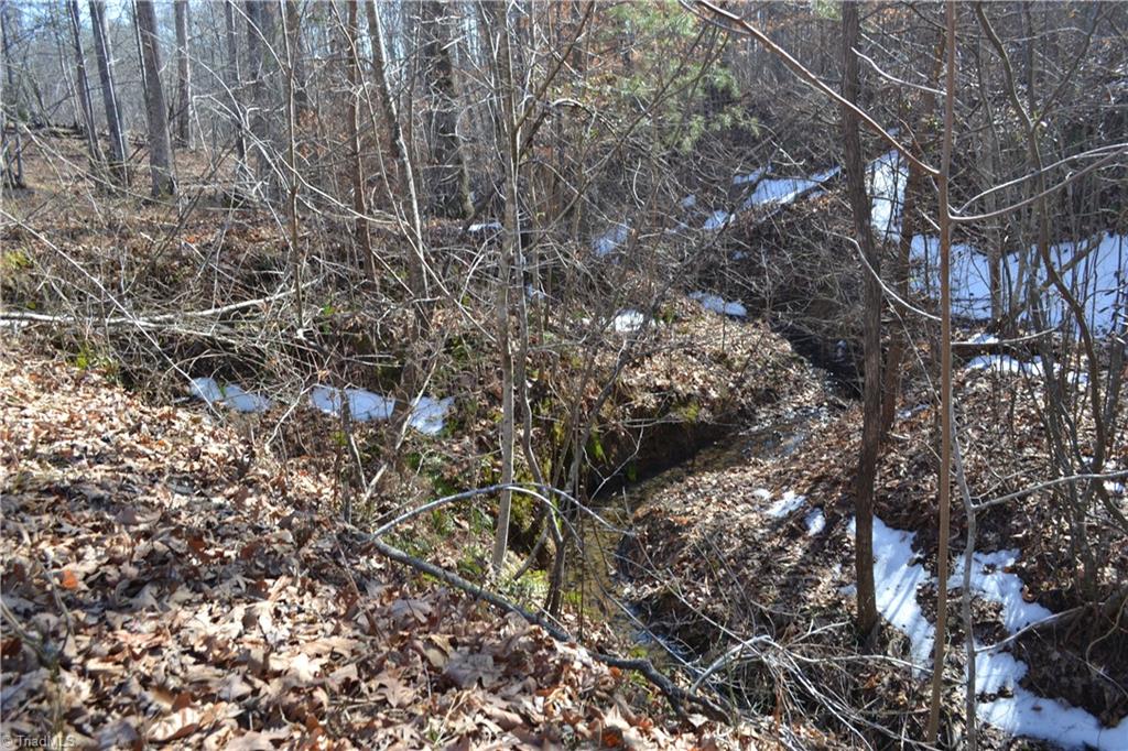278 Bear Road Madison, NC 27025 - Photo 31 of 43
