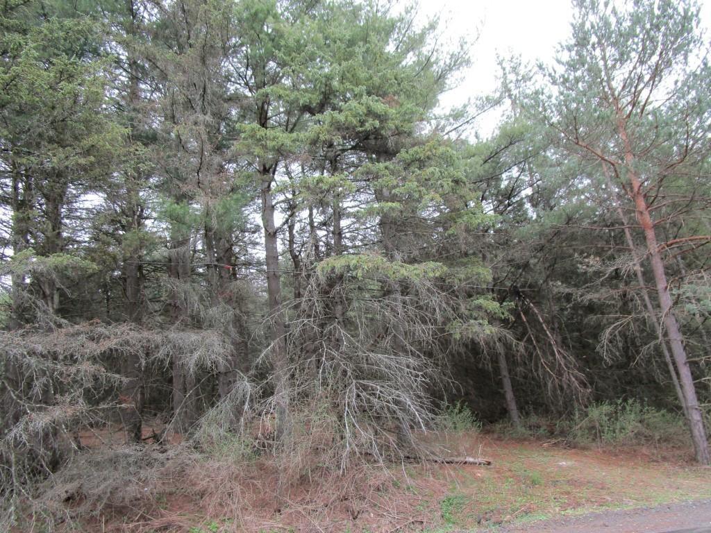 16 Stratton Road Maine, NY 13760 - Photo 1 of 2 Gallery Image 1