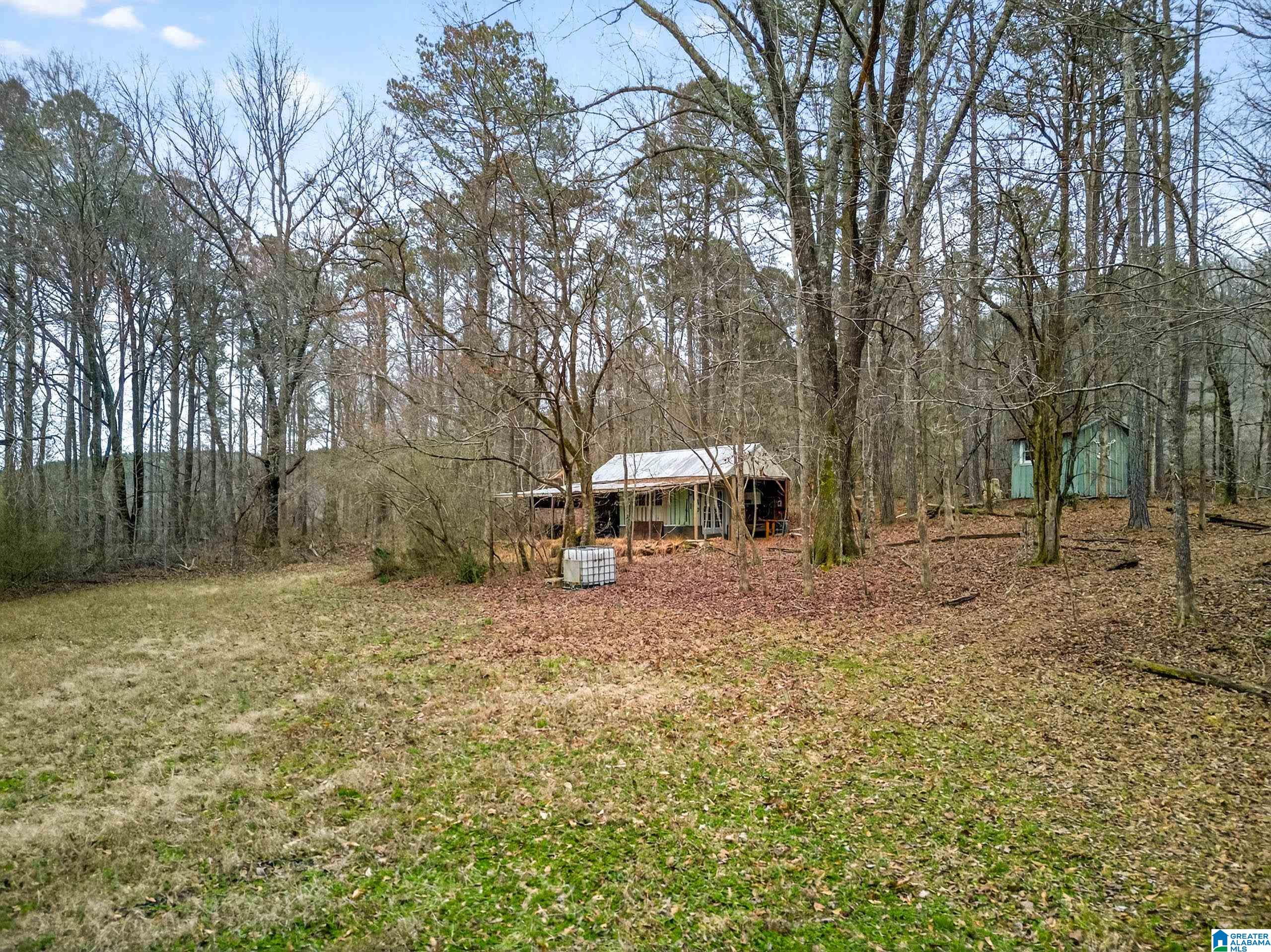 1285 White Oak Road Ashland, AL 36251 - Photo 61 of 71