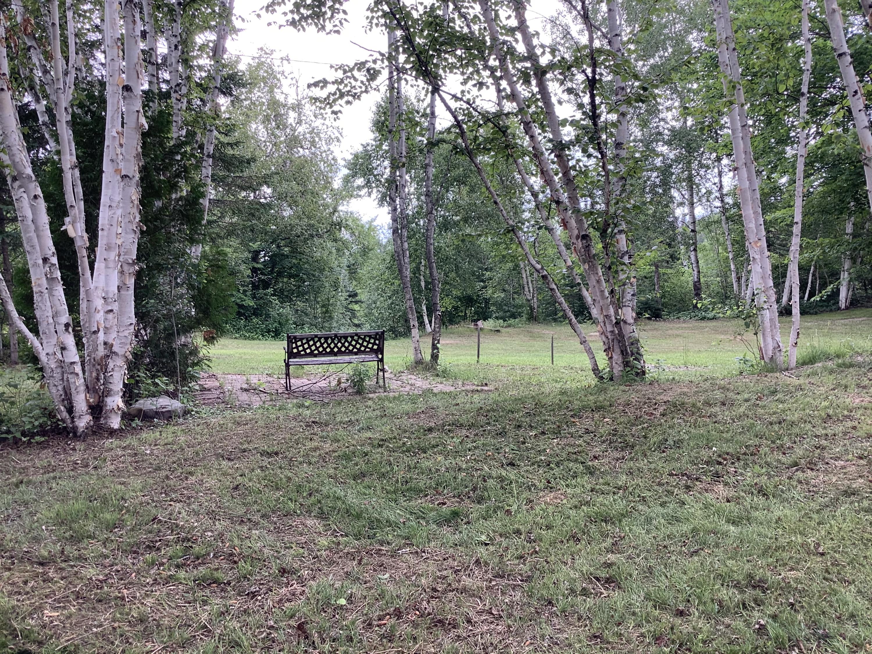 1780 Hamlin Road Van Buren, ME 04785 - Photo 15 of 61 B8863931-91F3-4E40-90F8-D5192F764E76