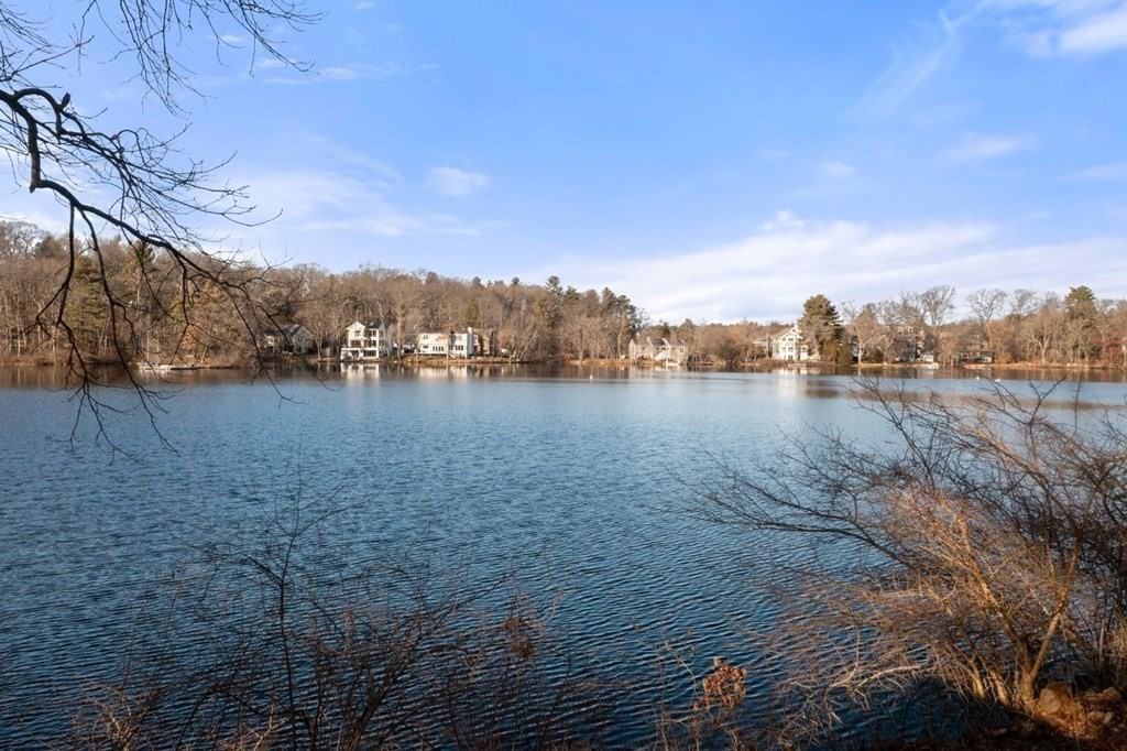 43 College Road Wellesley, MA 02482 - Photo 20 of 22 Gallery Image 20