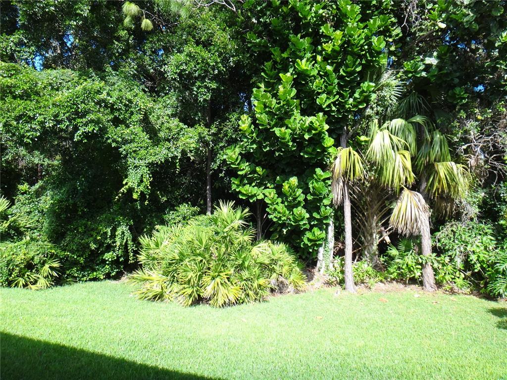 Undisclosed Address Sarasota, FL 34238 - Photo 22 of 26 a view of a garden with a tree