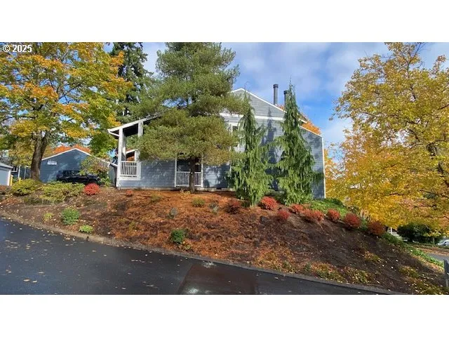 a black and white photo of a park