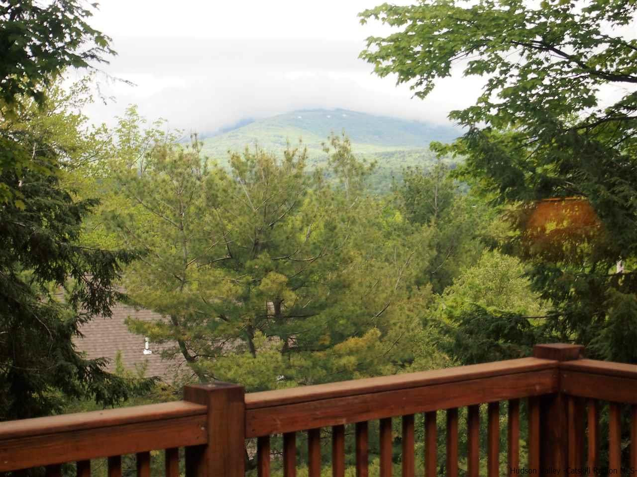 9 Brainard Ridge Road Windham, NY 12496 - Photo 2 of 34 Photo 2