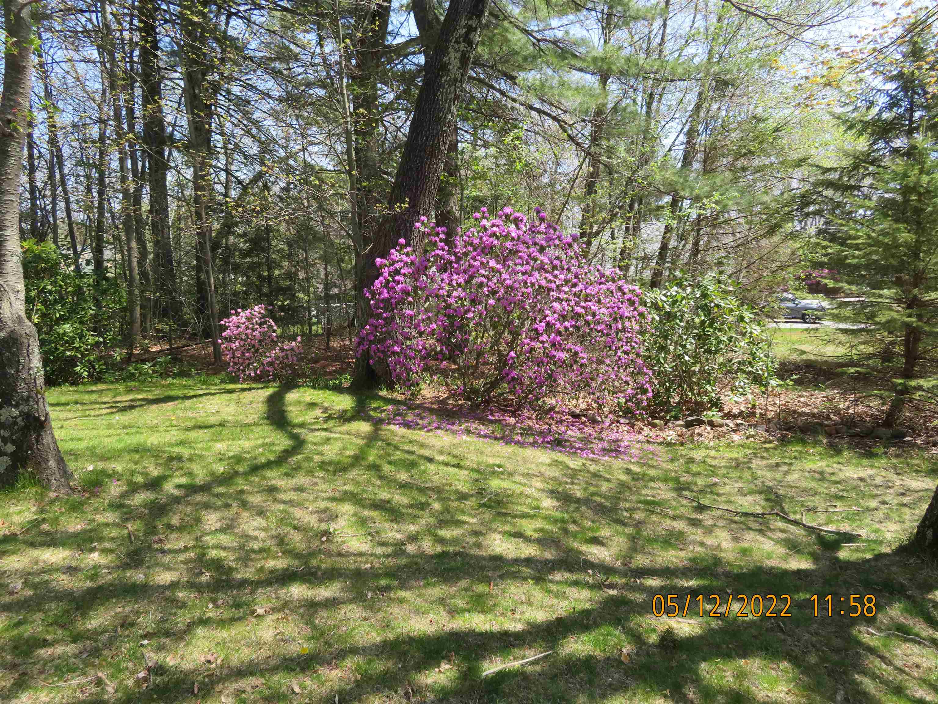 5 Concord Way Rochester, NH 03867 - Photo 5 of 40