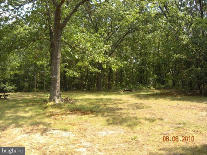 623 New Hope Road Cross Junction, VA 22625 - Photo 3 of 5 Wooded View / Acreage