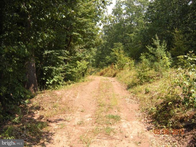 623 New Hope Road Cross Junction, VA 22625 - Photo 4 of 5 Wooded View / Acreage 2