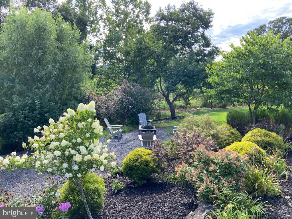 271 Ogden Farm Road Moorefield, WV 26836 - Photo 10 of 50 a garden with lots of plants and trees
