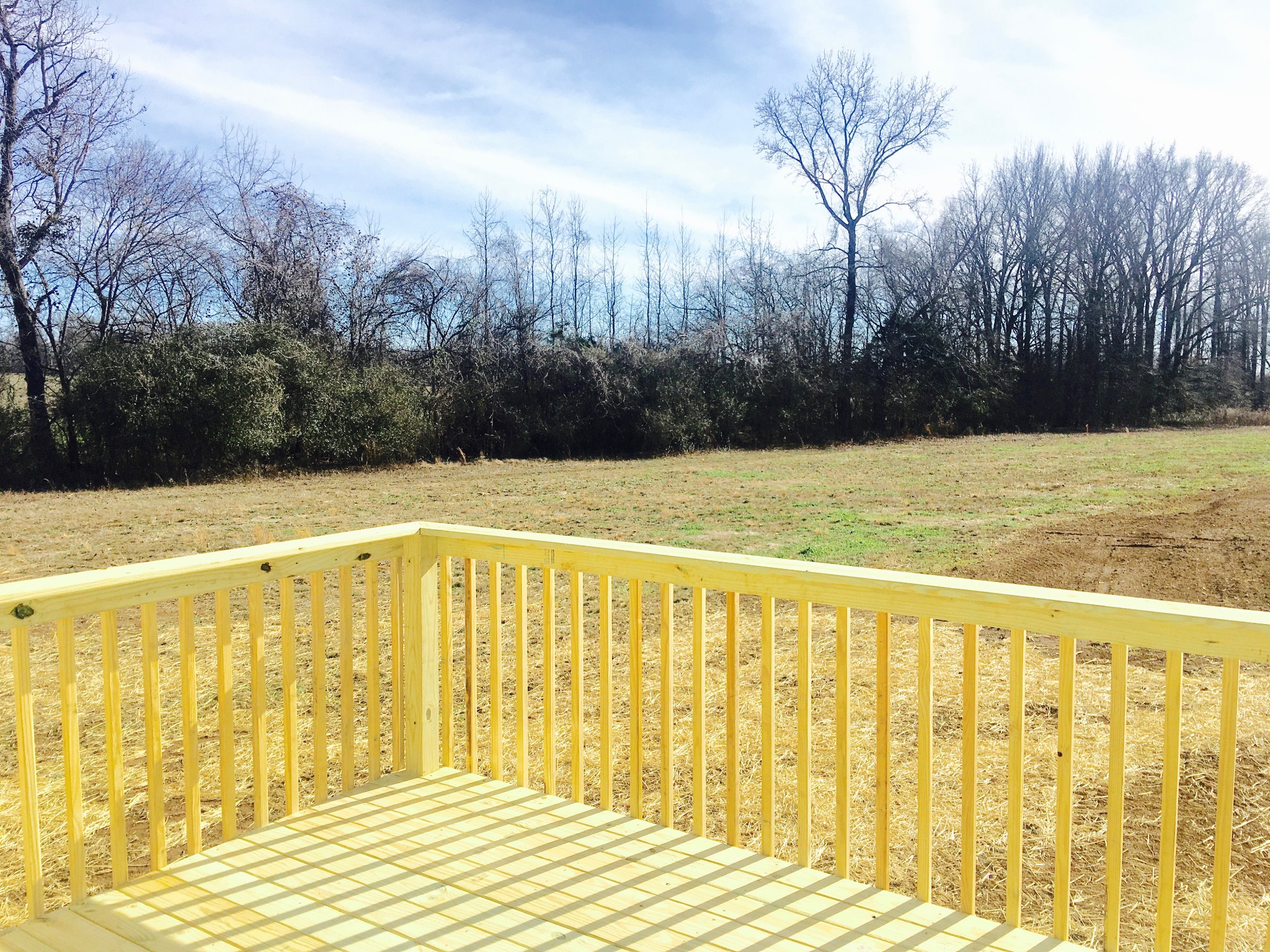 58 Camargo Road Fayetteville, TN 37334 - Photo 15 of 19 Gallery Image 15