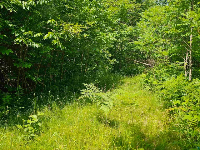 $80,000 | 13 State Highway 13, Bayfield, WI 54814