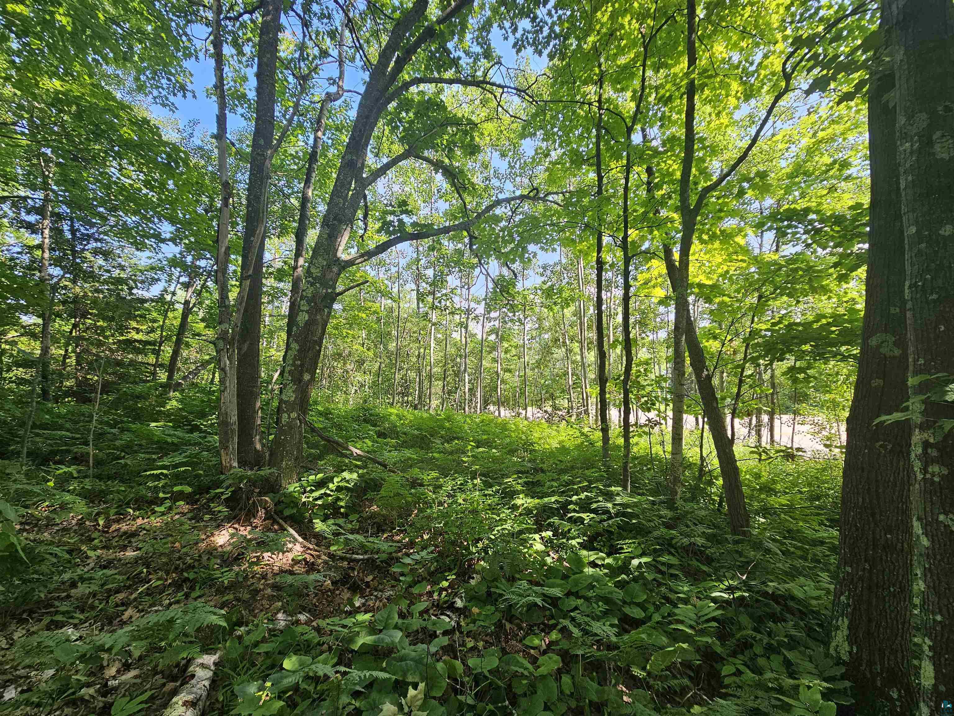 13 State Highway 13 Bayfield, WI 54814 - Photo 3 of 6