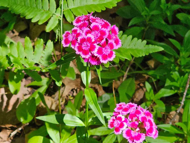 $80,000 | 13 State Highway 13, Bayfield, WI 54814