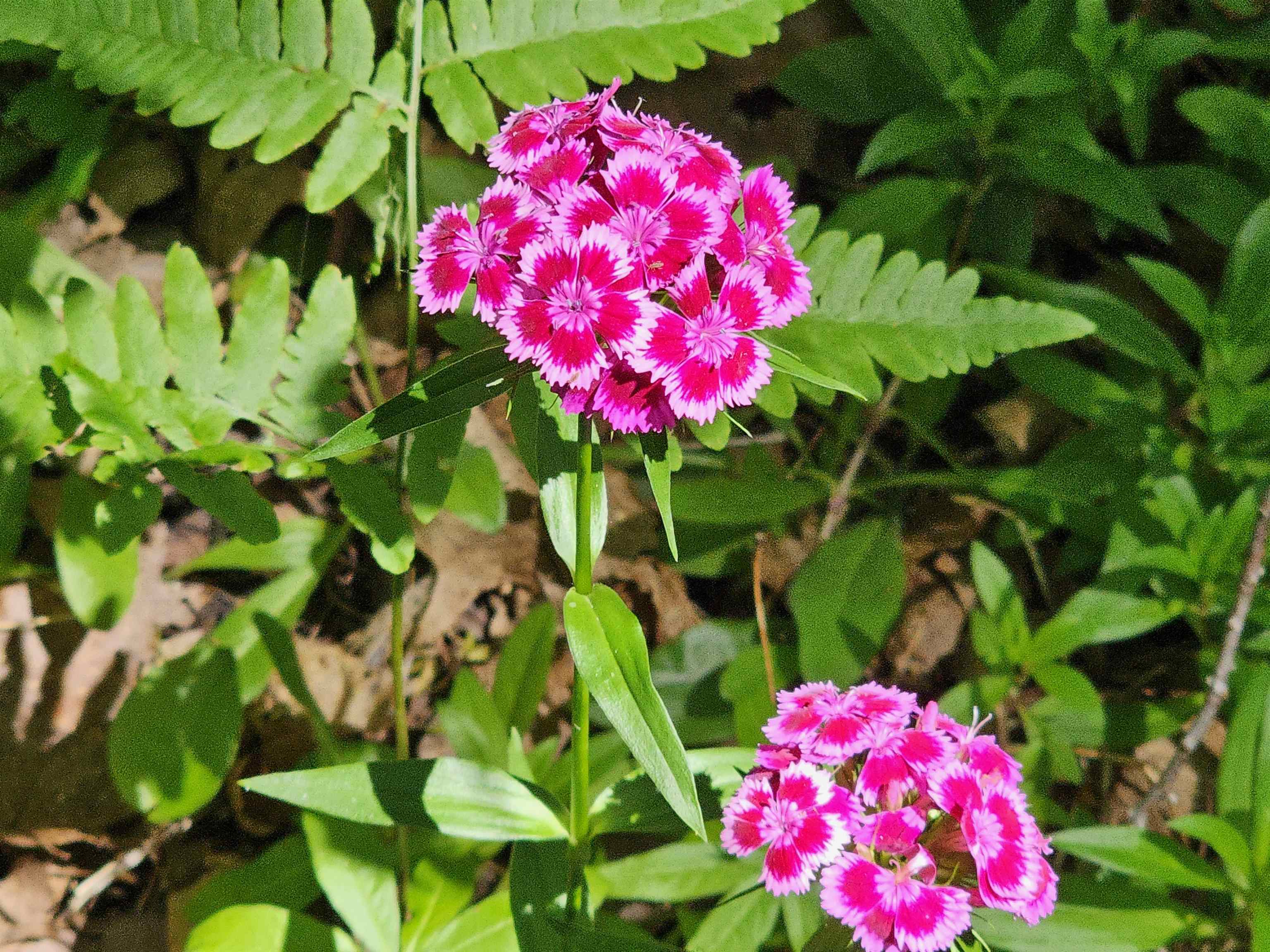 13 State Highway 13 Bayfield, WI 54814 - Photo 5 of 6