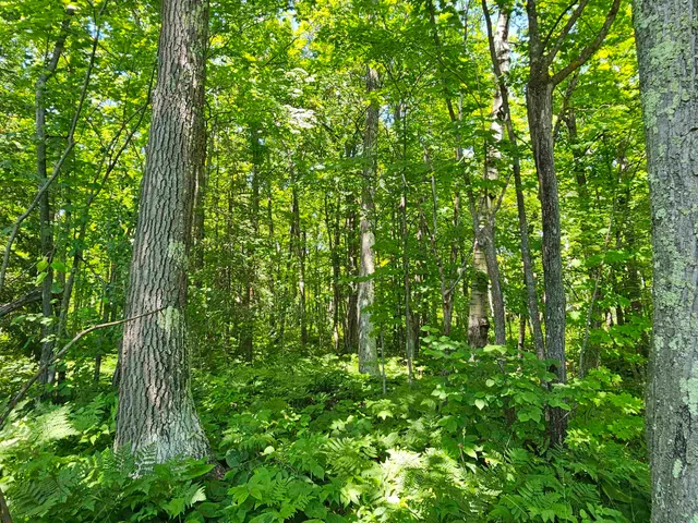 $80,000 | 13 State Highway 13, Bayfield, WI 54814