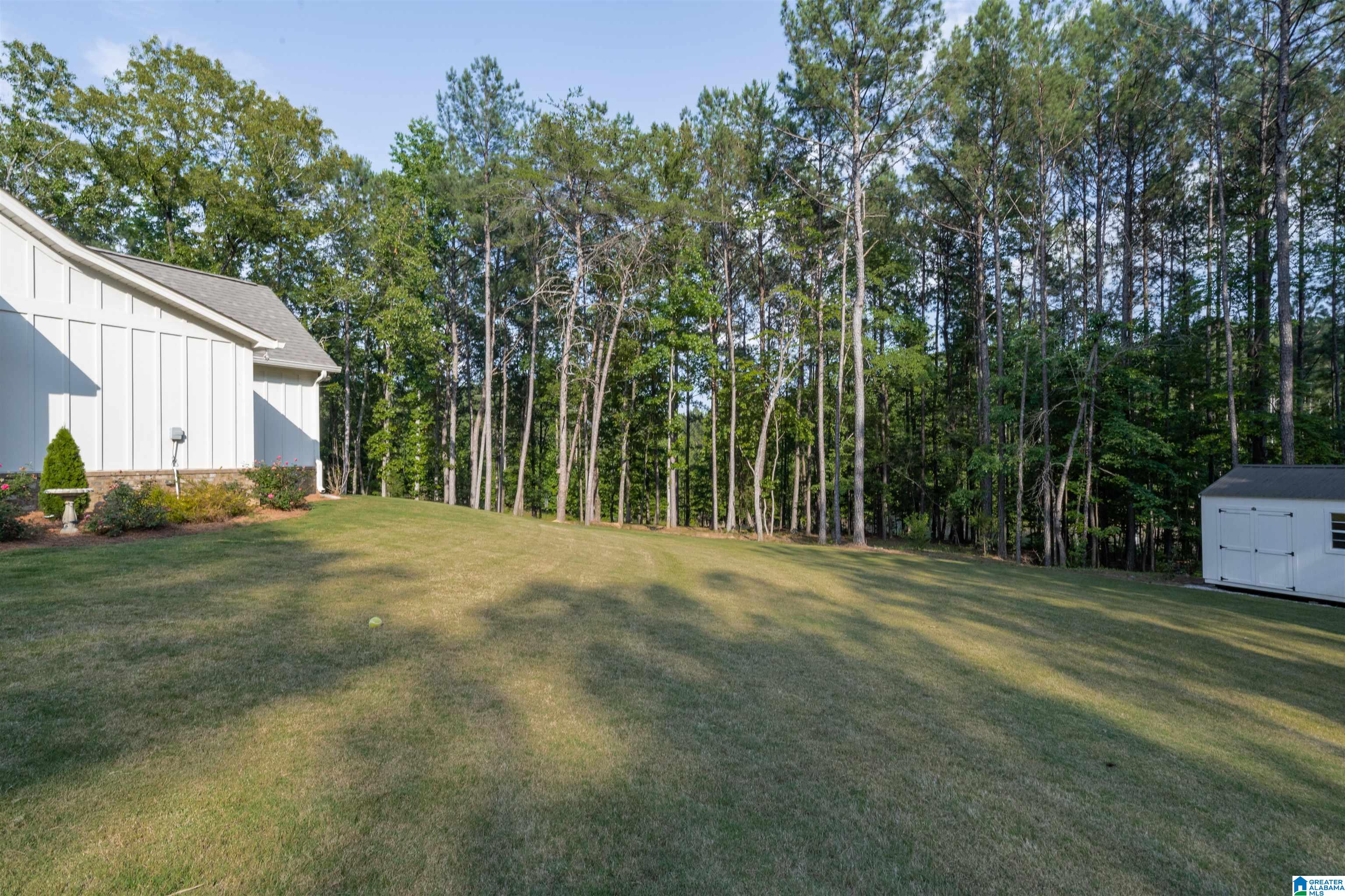 4324 Highway 331 Chelsea, AL 35043 - Photo 47 of 57
