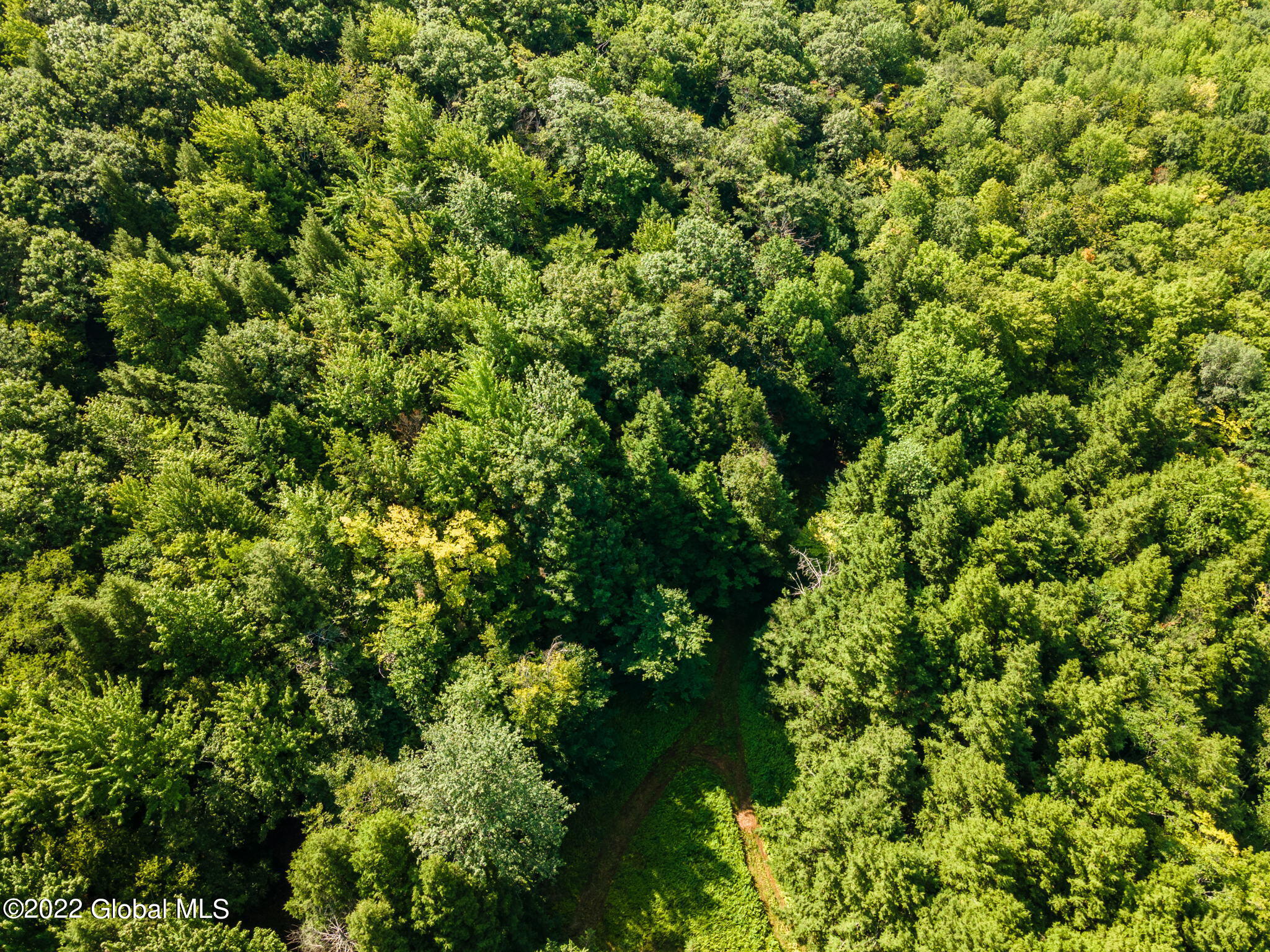 108 Rigley Road Richmondville, NY 12149 - Photo 16 of 18 2-web-or-mls-108RigleyRd-11